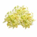 Iceberg Άργους, κομμένο (1kg)