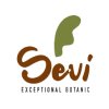 SEVI EXCEPTIONAL BOTANIC logo