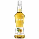 Λικέρ MONIN Apricot Brandy (700ml)