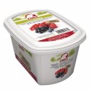 Πουρές φρούτου DIRA Forest Fruits 90%, κατεψυγμένος (1kg)