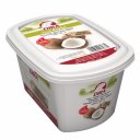 Πουρές φρούτου DIRA Καρύδα 90%, κατεψυγμένος (1kg)