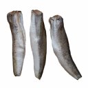 Βακαλάος Αργεντινής, ακέφαλος, Μ0, 200-300gr, κατεψυγμένος (1kg)