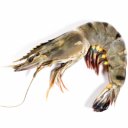Γαρίδες Black Tiger Ινδονησίας, 21/30, κατεψυγμένες (1kg)