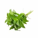 Μέντα Κορωπίου (ματσάκι)
