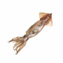 Καλαμάρια Παταγονίας, C4, κατεψυγμένα (1kg)