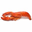 Αστακός Μαρόκου, κατεψυγμένος (300gr)
