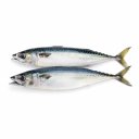 Σκουμπρί Ισπανίας, ολόκληρο, 400-600gr, κατεψυγμένο (1kg)