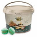 Πραλίνα φιστικιού MASTER MARTINI Gran Pistaccio-Caravella (5kg)