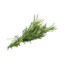 Δενδρολίβανο Κορωπίου (ματσάκι)