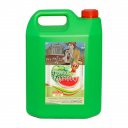 Πολτός γρανίτας DEA HELLAS Καρπούζι (5kg)