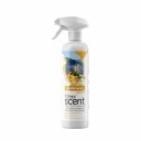 Αρωματικό χώρου CLINEX Aegean Fruit, σε spray (500ml)