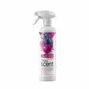 Αρωματικό χώρου CLINEX Parisian Charm, σε spray (500ml)