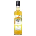 Iced tea BARISTA PRO Τσάι του βουνού με μέλι, συμπυκνωμένο (700ml)