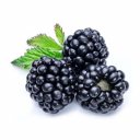 Blackberry Ολλανδίας, κουπάκι (125gr)