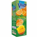 Νέκταρ VIVA Πορτοκάλι (250ml)