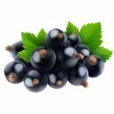 Πουρές φρούτου FRUITLIFE Blackcurrant 90%, κατεψυγμένος (1kg)