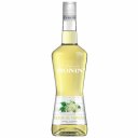 Λικέρ MONIN Elderflower (700ml)