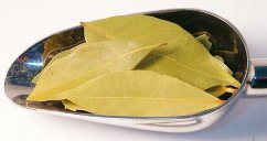 Δάφνη αποξηραμένη, φύλλα (250gr)