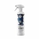 Αρωματικό χώρου CLINEX Spray Scent Magic Night (500ml)