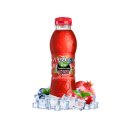 Ice tea ΛΟΥΞ Πράσινο τσάι με κόκκινα φρούτα (500ml)