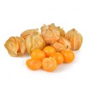 Φυσαλίδα - Golden berry εισαγωγής (12τμχ)