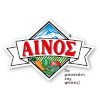 ΑΙΝΟΣ logo
